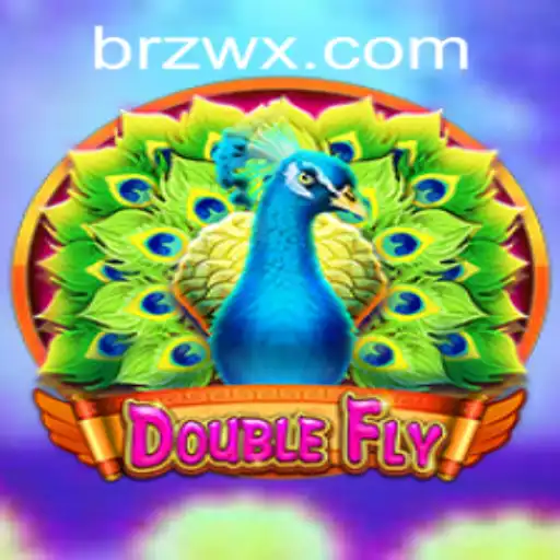 Exploring DoubleFly: A Comprehensive Overview